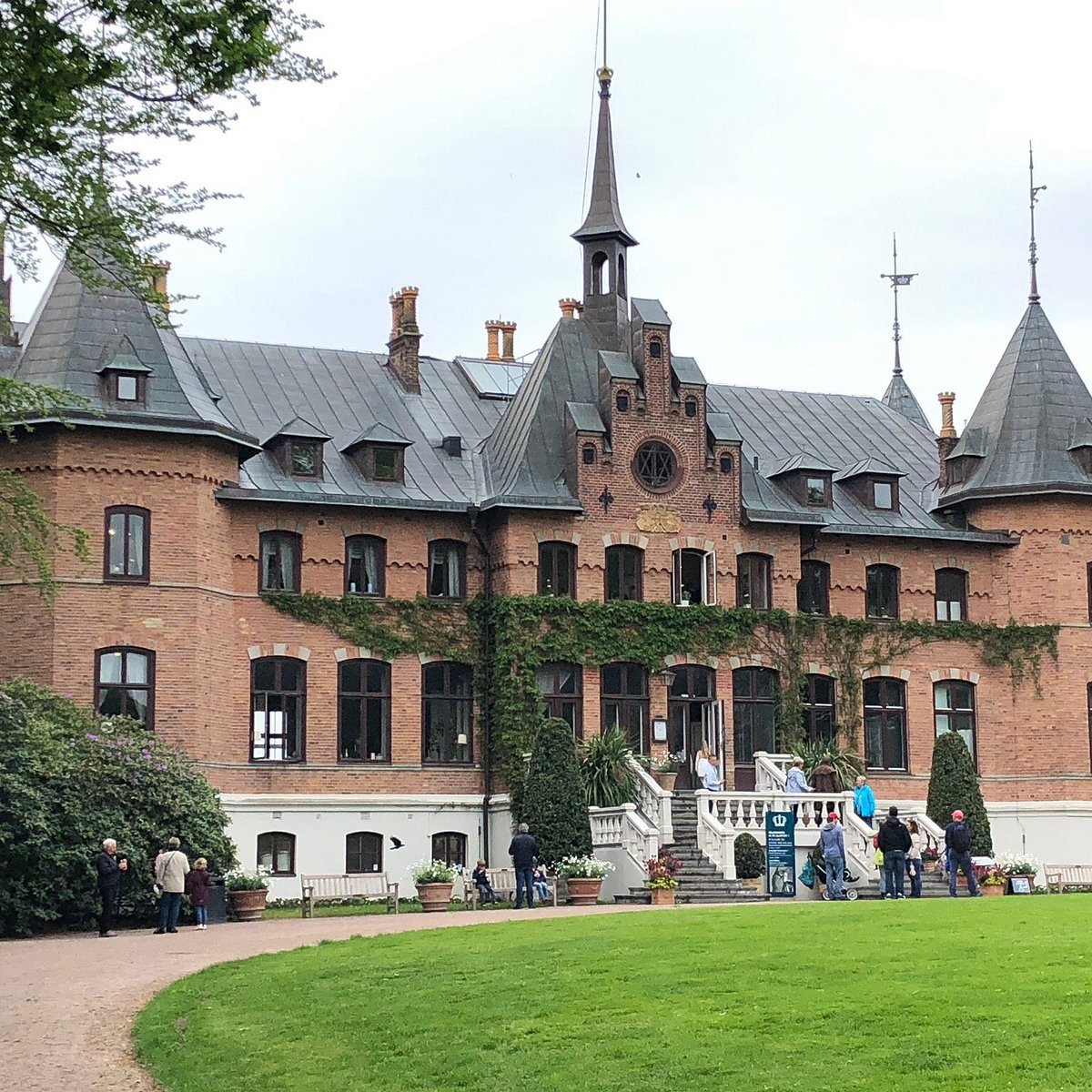 Discovering Sofiero Castle Gardens with Your Dog: A Floral Paradise in Sweden