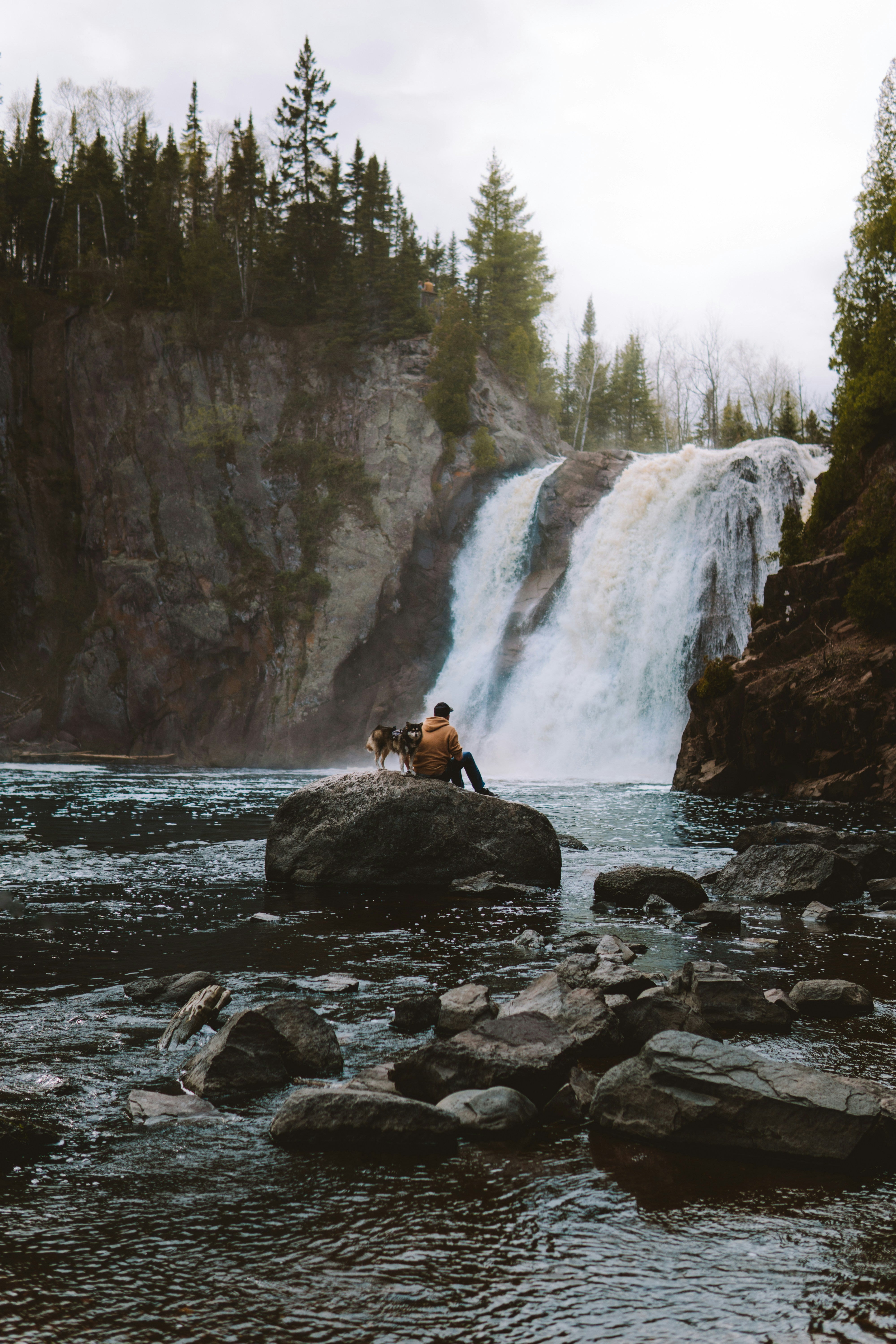 Adventuring Together: Exploring Sweden with Your Dog