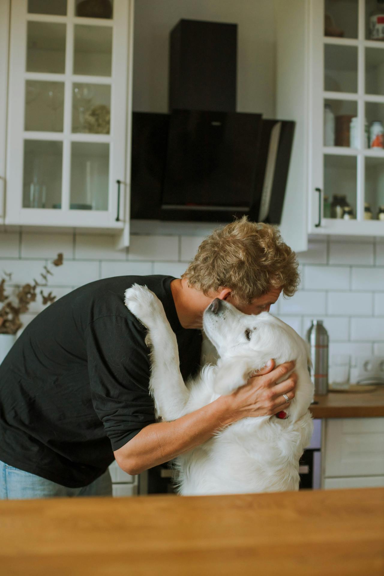 How Daily Rituals Strengthen the Bond Between You and Your Dog