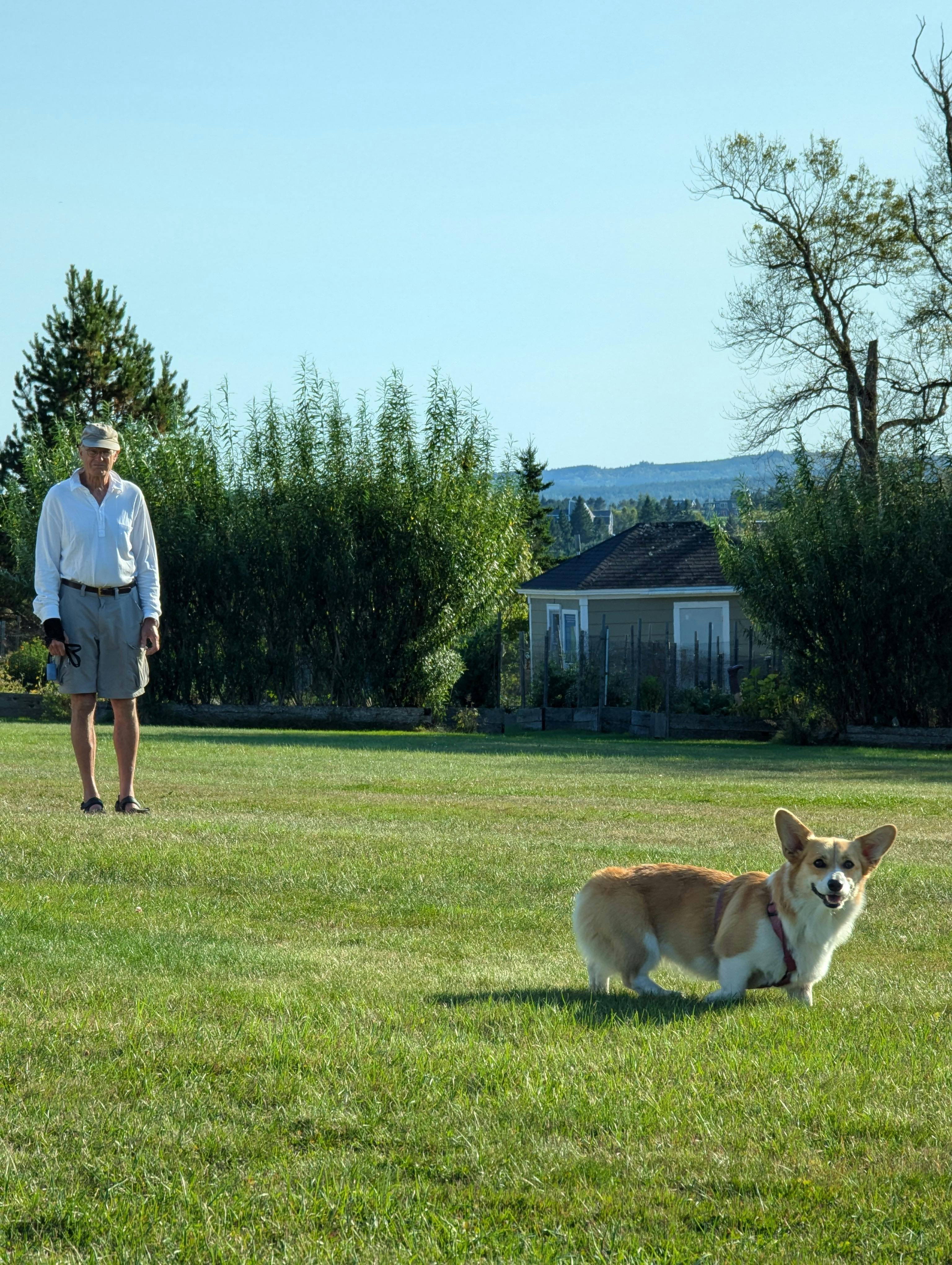 Adventuring Together: Exploring Sweden with Your Dog