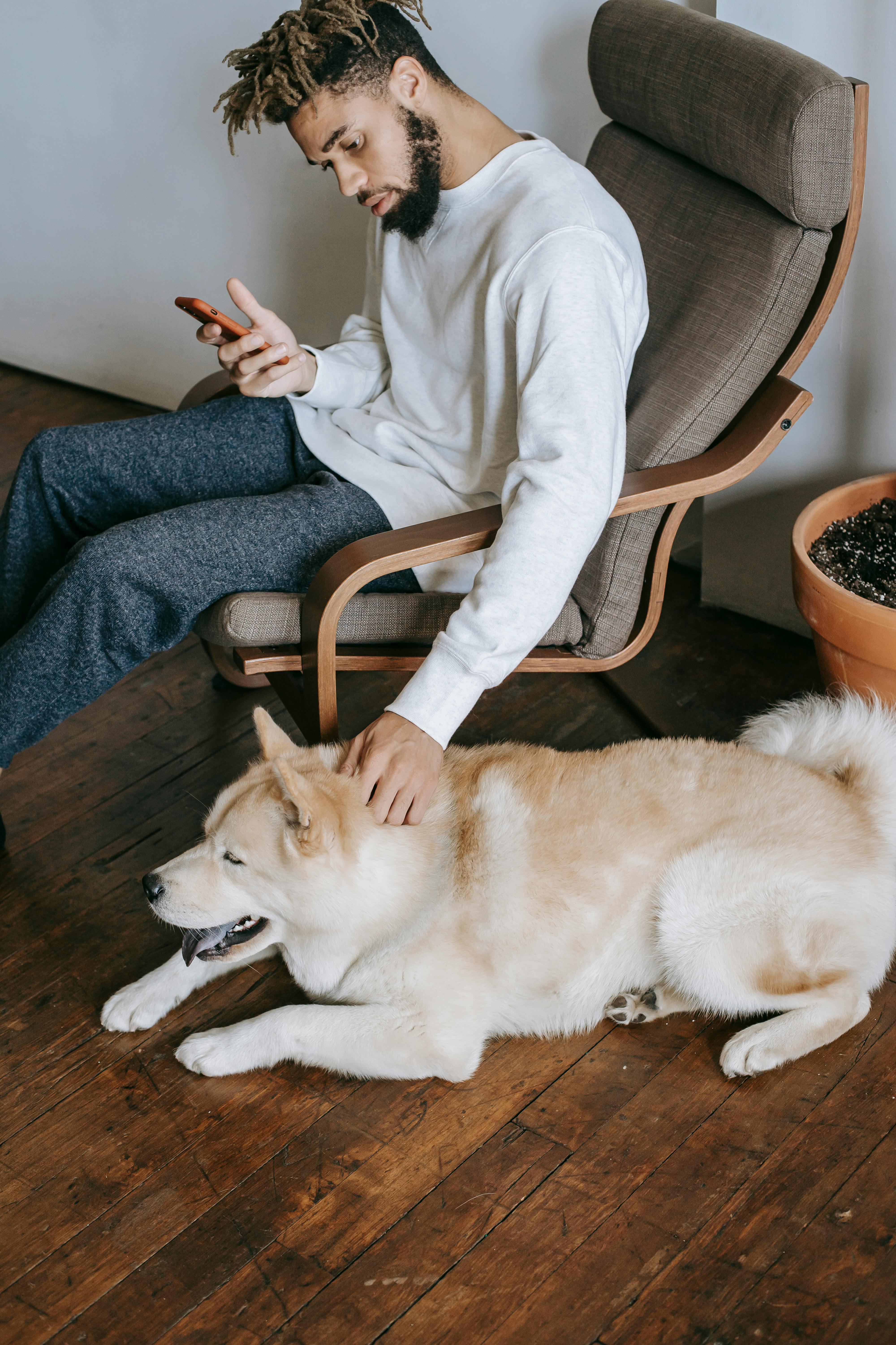 Crafting Pet Care with Scandinavian Simplicity