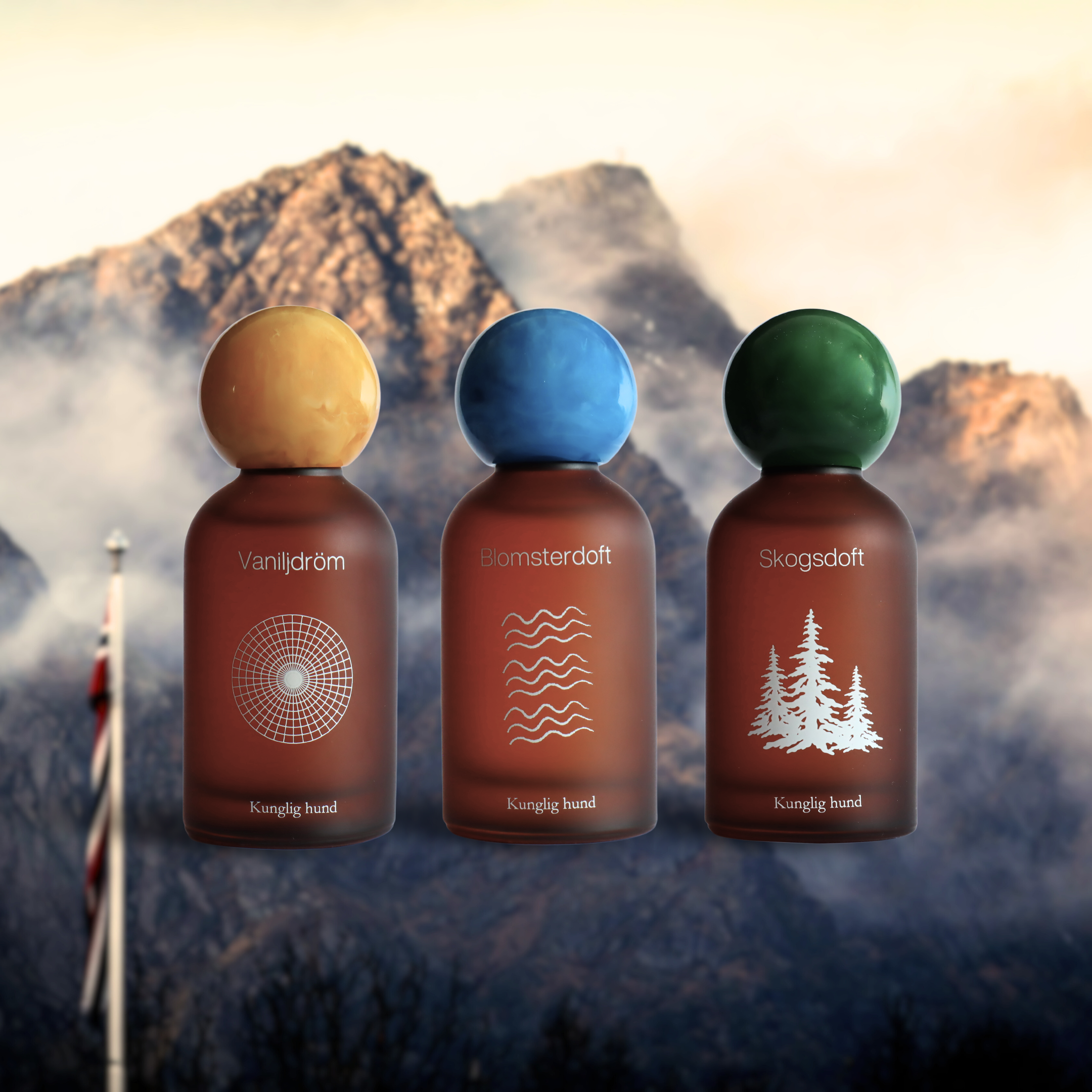 The Scandinavian Soul Set